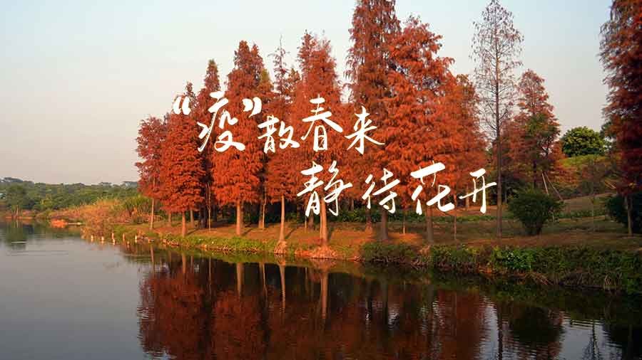 恒溫恒濕試驗箱 恒溫恒濕試驗箱